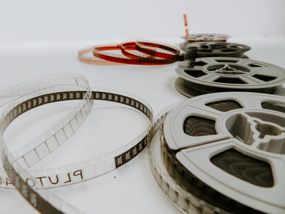 PP电子小小蟾蜍